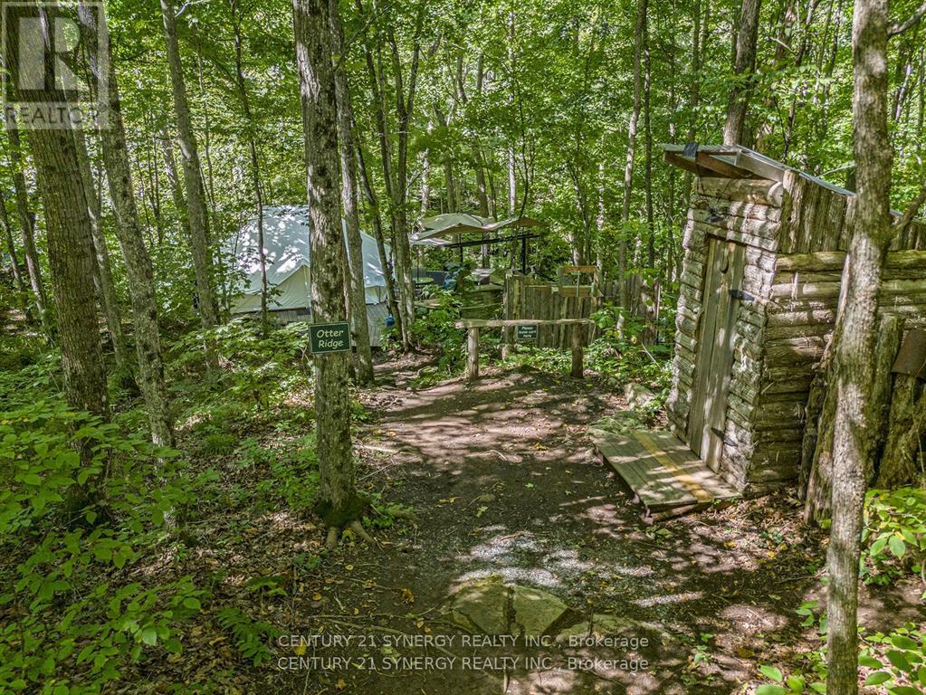 56 KELLY ROAD - 10