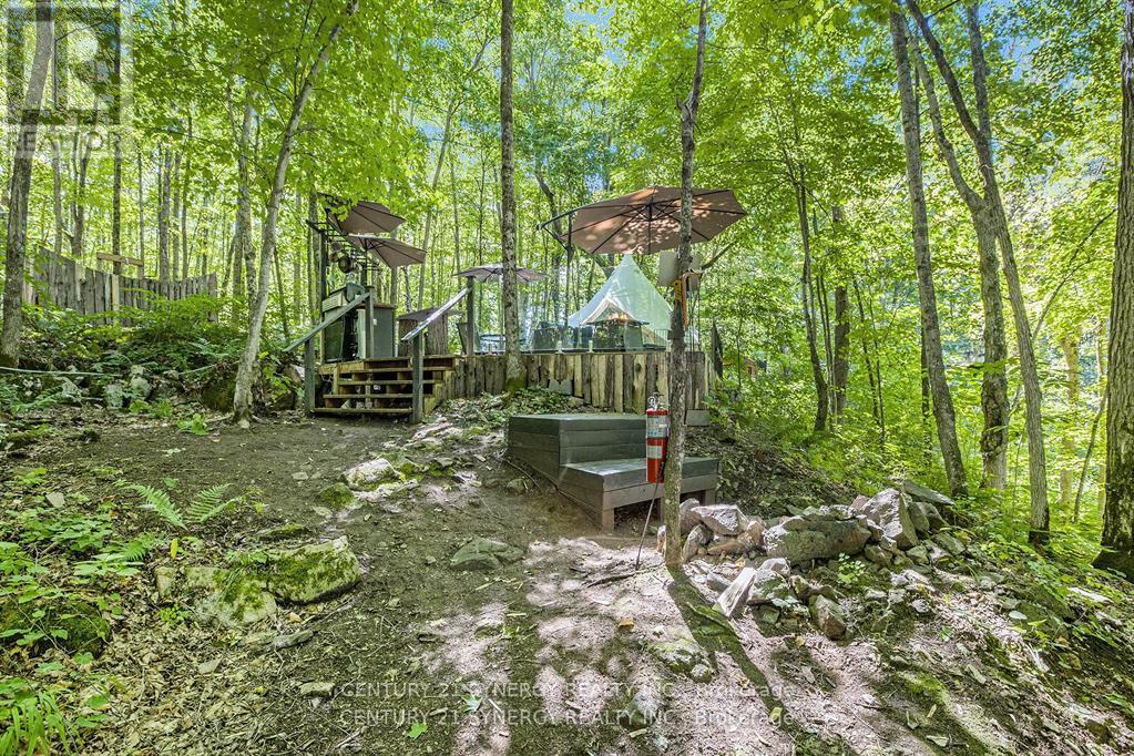 56 KELLY ROAD - 13