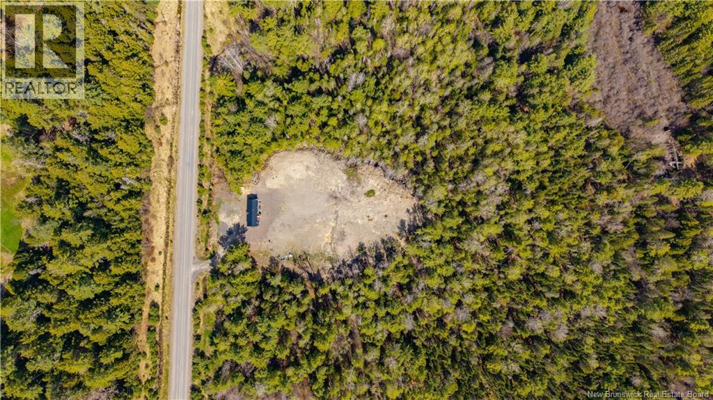 86 Hayman Avenue - 28