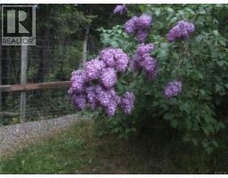 8900 Keith Wagner Way, Denman Island, BC V0R1T0 Photo 52