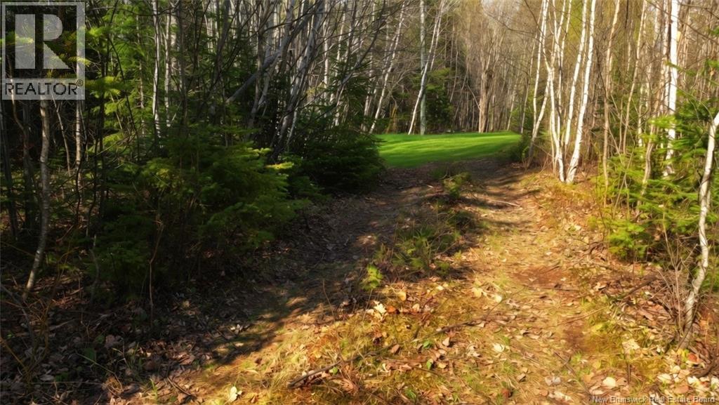 LOT Route 126, Harcourt — photo 3