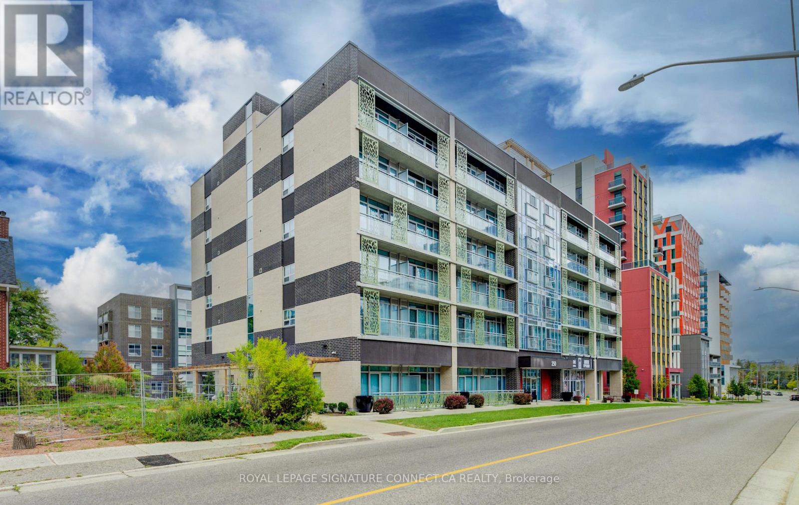 #203 250 ALBERT STREET - 1