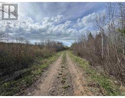 Shore Road W, Hillsburn, NS B0S1A0 Photo 17
