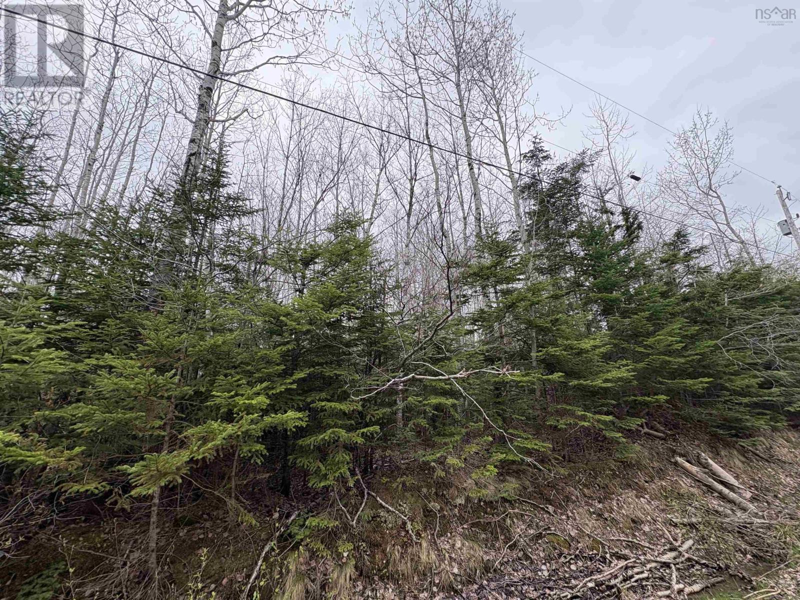 Property 4 of 6 of Lot Old Renfrew Road