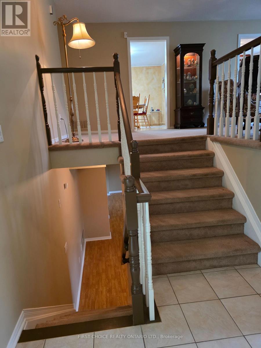 13 QUEENSTON DRIVE - 7
