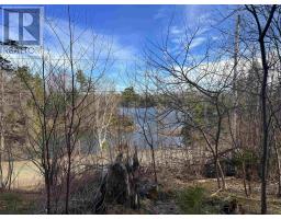 Orangedale-iona Road, West Alba, NS B0E3M0 Photo 9