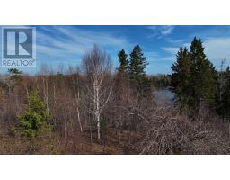 Orangedale-iona Road, West Alba, NS B0E3M0 Photo 13