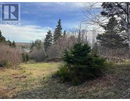 Orangedale-iona Road, West Alba, NS B0E3M0 Photo 6