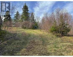 Orangedale-iona Road, West Alba, NS B0E3M0 Photo 14