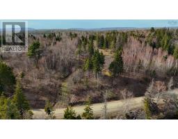 Orangedale-iona Road, West Alba, NS B0E3M0 Photo 10