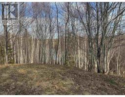 Orangedale-iona Road, West Alba, NS B0E3M0 Photo 7