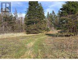 Orangedale-iona Road, West Alba, NS B0E3M0 Photo 12