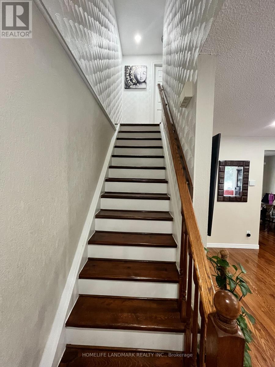39 ELMA STREET - 4