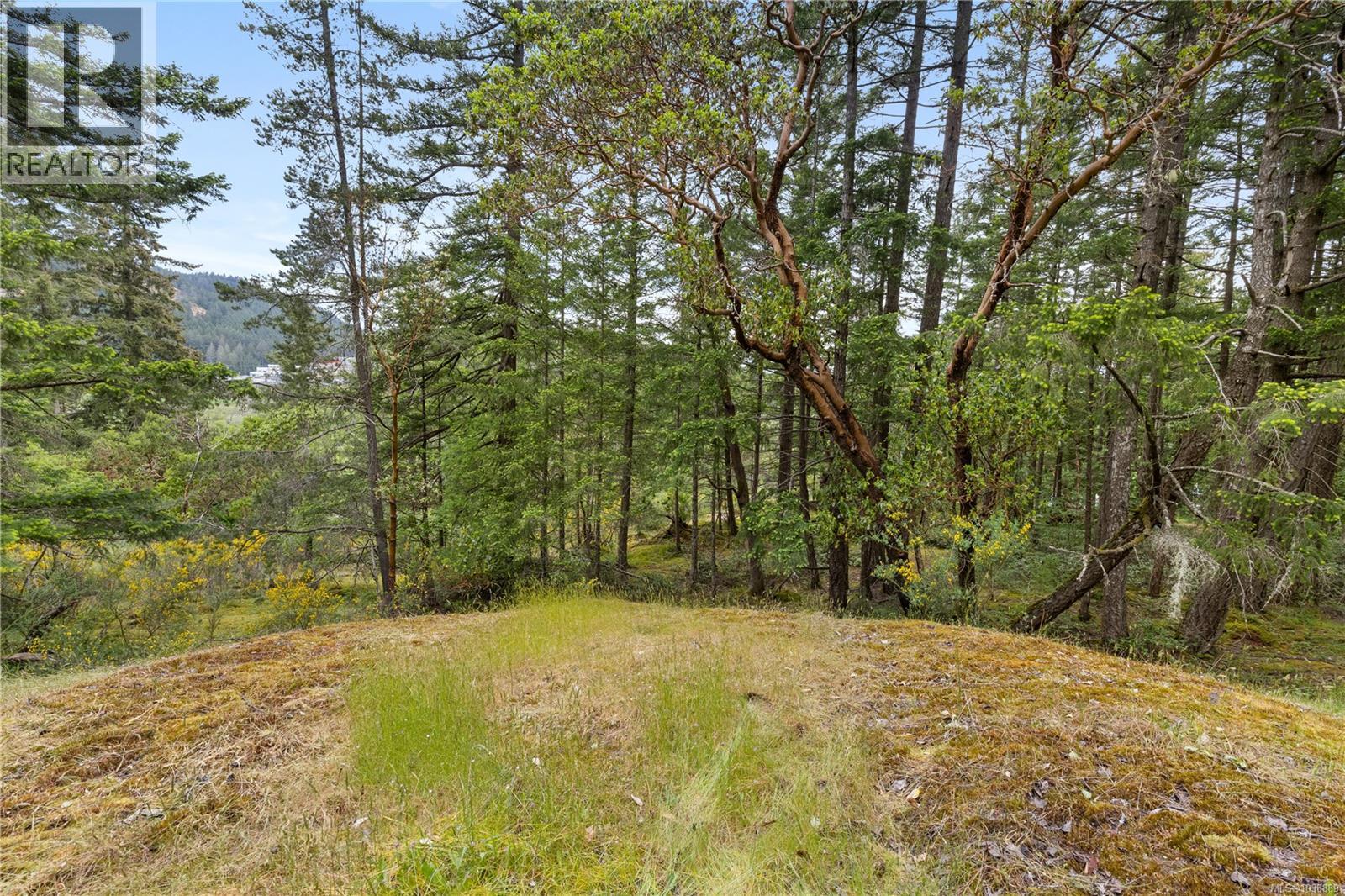 1139 Lippincott Rd - 34