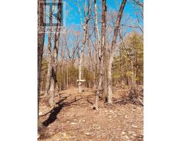 163 Checkerboard Lane, Gore Bay, ON P0P1H0 Photo 17