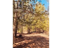 163 Checkerboard Lane, Gore Bay, ON P0P1H0 Photo 21