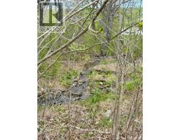 Mud room - 618 Rte 165, Riceville, NB E7N2Z1 Photo 8