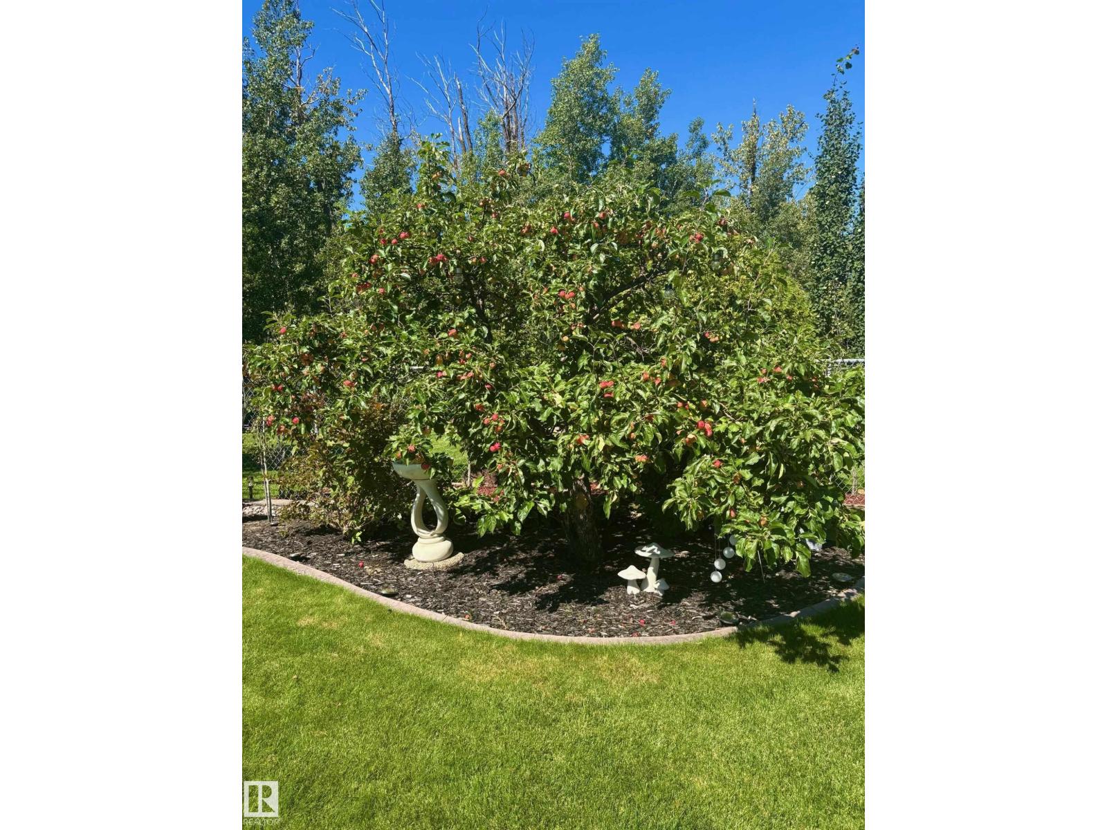47 Willow Springs CR — photo 51