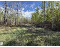 #36 50412 Rge Road 275, Rural Parkland County, AB T7Y2T8 Photo 9