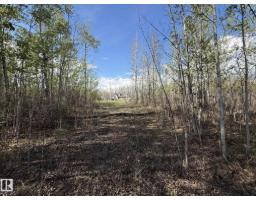 #36 50412 Rge Road 275, Rural Parkland County, AB T7Y2T8 Photo 10