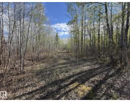 #36 50412 Rge Road 275, Rural Parkland County, AB T7Y2T8 Photo 11