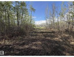 #36 50412 Rge Road 275, Rural Parkland County, AB T7Y2T8 Photo 13