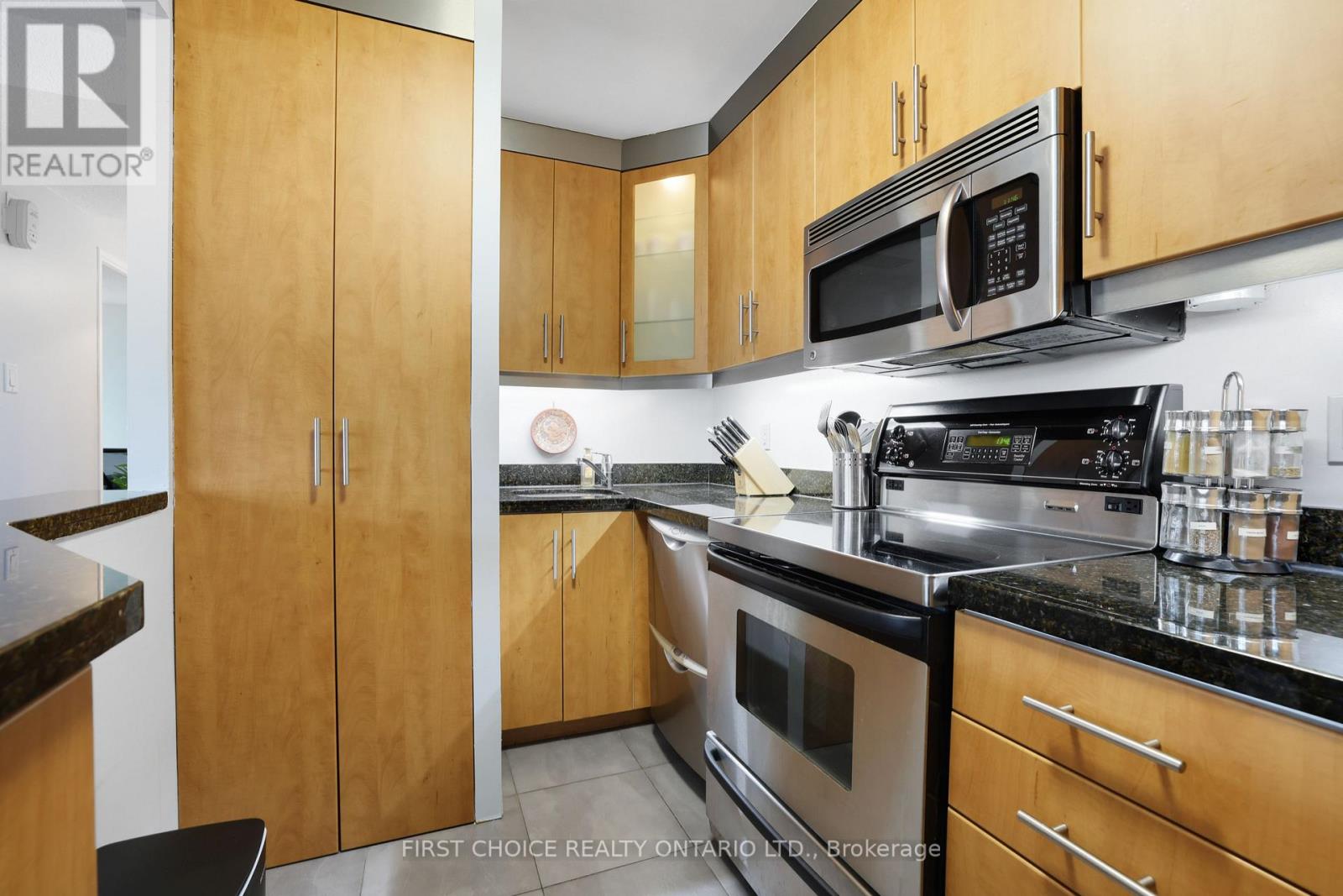 #703 141 SOMERSET STREET W - 12