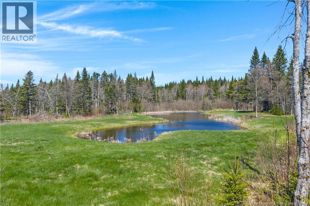 235 McArthur Road - 38