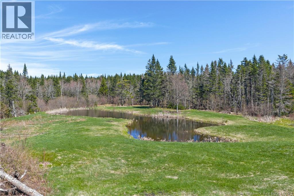 235 McArthur Road - 39