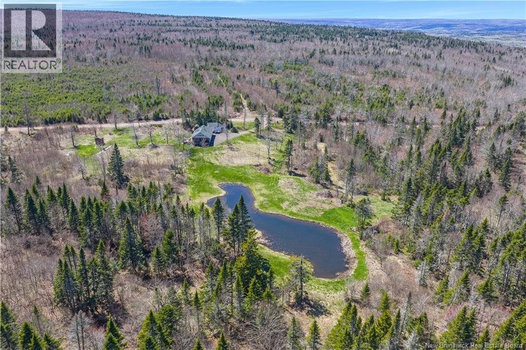 235 McArthur Road - 42