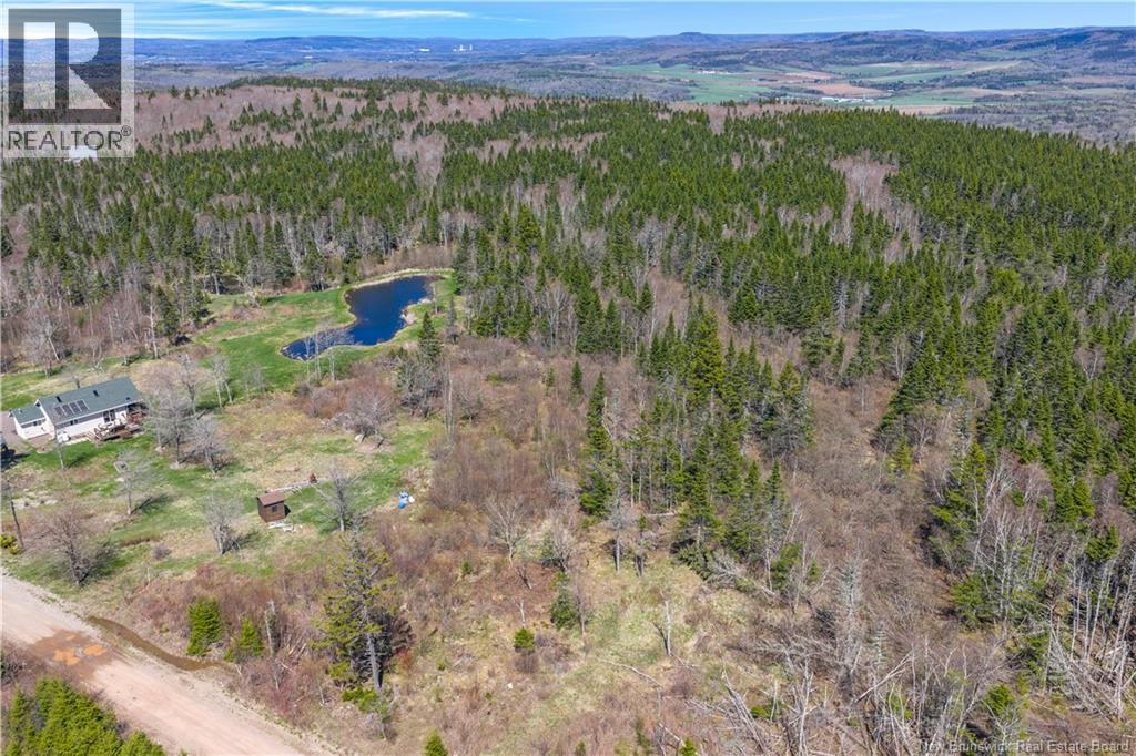235 McArthur Road - 46