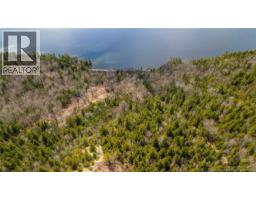 Lot 2021-01 And 02 Frye Road, Chamcook, NB E5B0C3 Photo 14