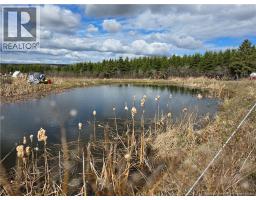Laplante Road, Saint Leonard Parent, NB E7E0E1 Photo 14