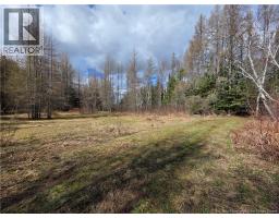 Laplante Road, Saint Leonard Parent, NB E7E0E1 Photo 15