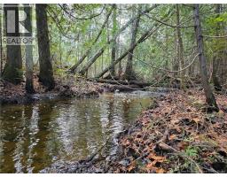 Laplante Road, Saint Leonard Parent, NB E7E0E1 Photo 18