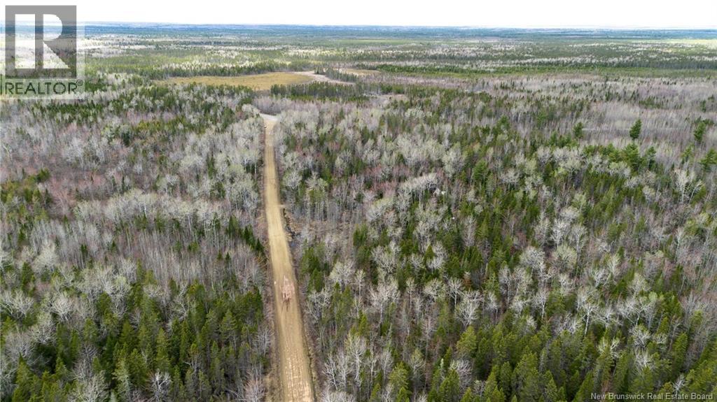 LOT Chemin Gallant, Saint-Ignace — photo 2
