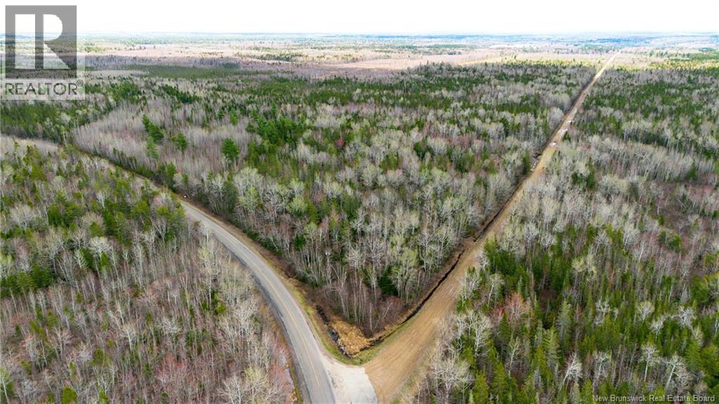 LOT Chemin Gallant, Saint-Ignace — photo 3