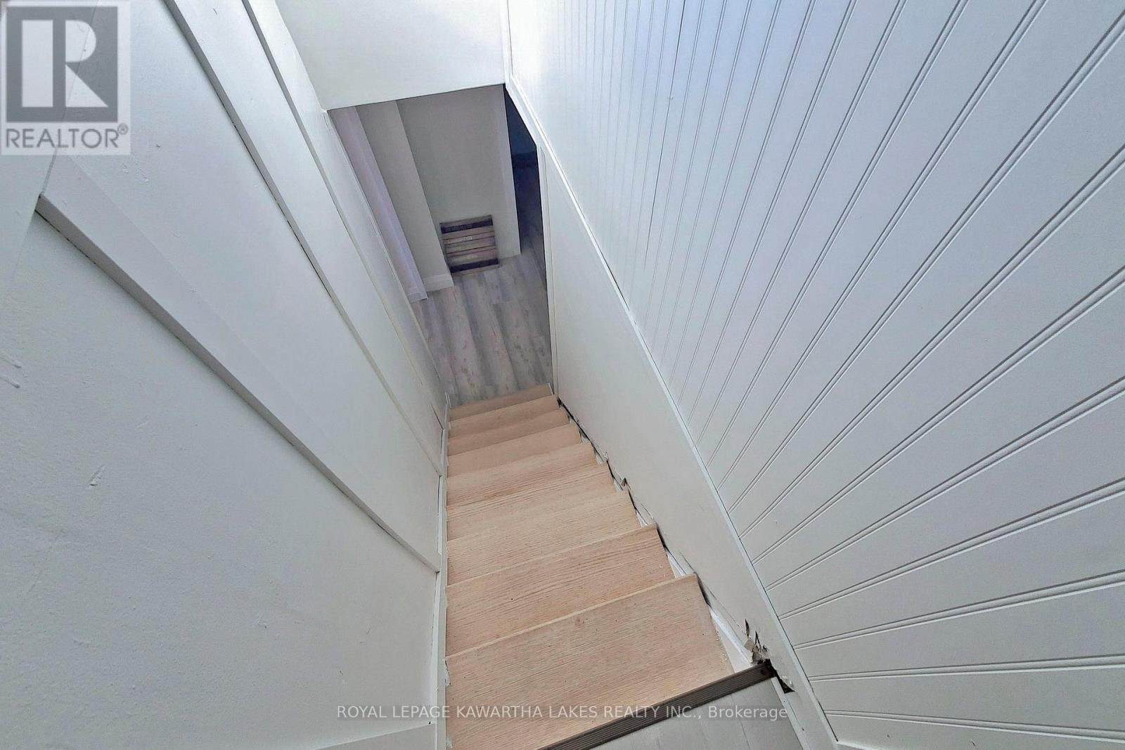 12 BIRCHCLIFF AVENUE - 20