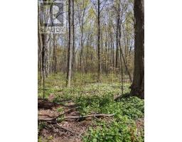 Ptl 26 & Ptl 27, Con 7, Oro, Oro Medonte, ON L0L2E0 Photo 11