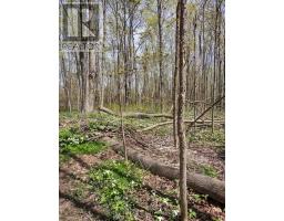 Ptl 26 & Ptl 27, Con 7, Oro, Oro Medonte, ON L0L2E0 Photo 12