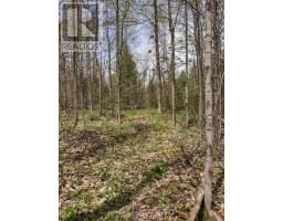 Ptl 26 & Ptl 27, Con 7, Oro, Oro Medonte, ON L0L2E0 Photo 6