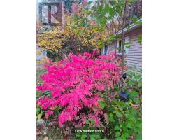 23 - 1007 Racoon Road, Gravenhurst, ON P1P0C5 Photo 33