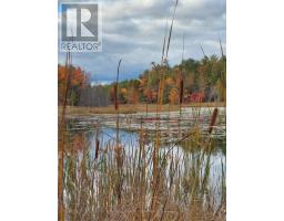 23 - 1007 Racoon Road, Gravenhurst, ON P1P0C5 Photo 38