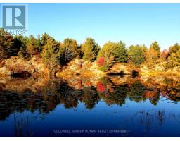 23 - 1007 Racoon Road, Gravenhurst, ON P1P0C5 Photo 39