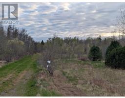 37013 Western Road, Coleman, PE C0B1H0 Photo 20