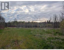 37013 Western Road, Coleman, PE C0B1H0 Photo 7