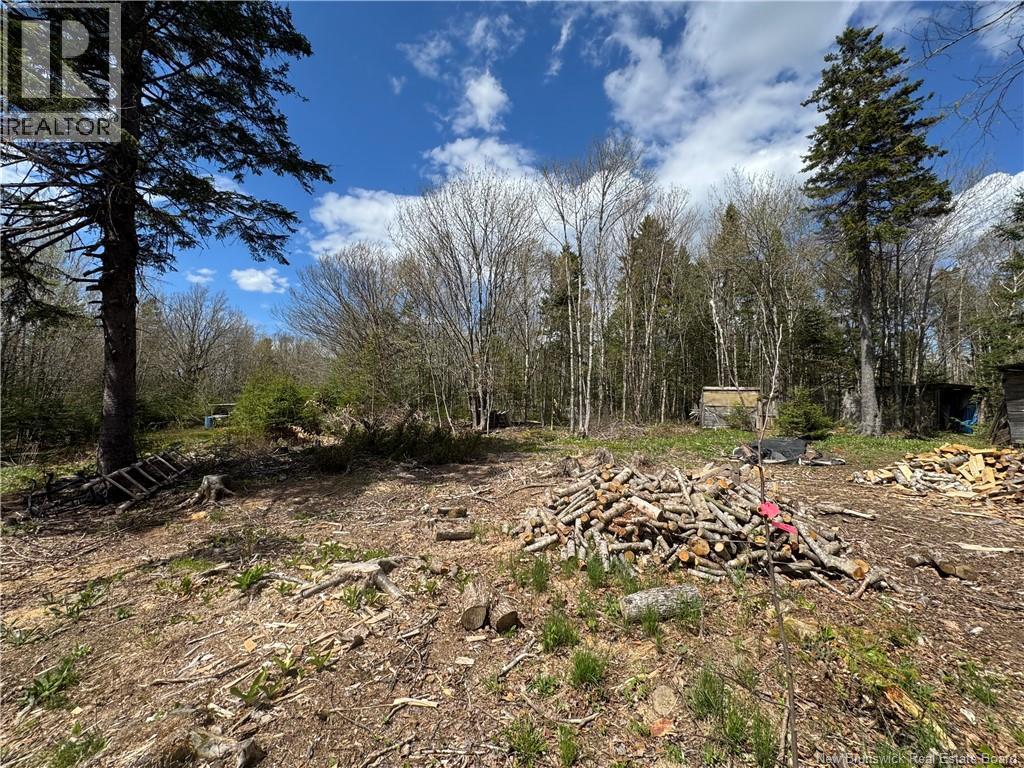 199 East Scotch Settlement Road - 8