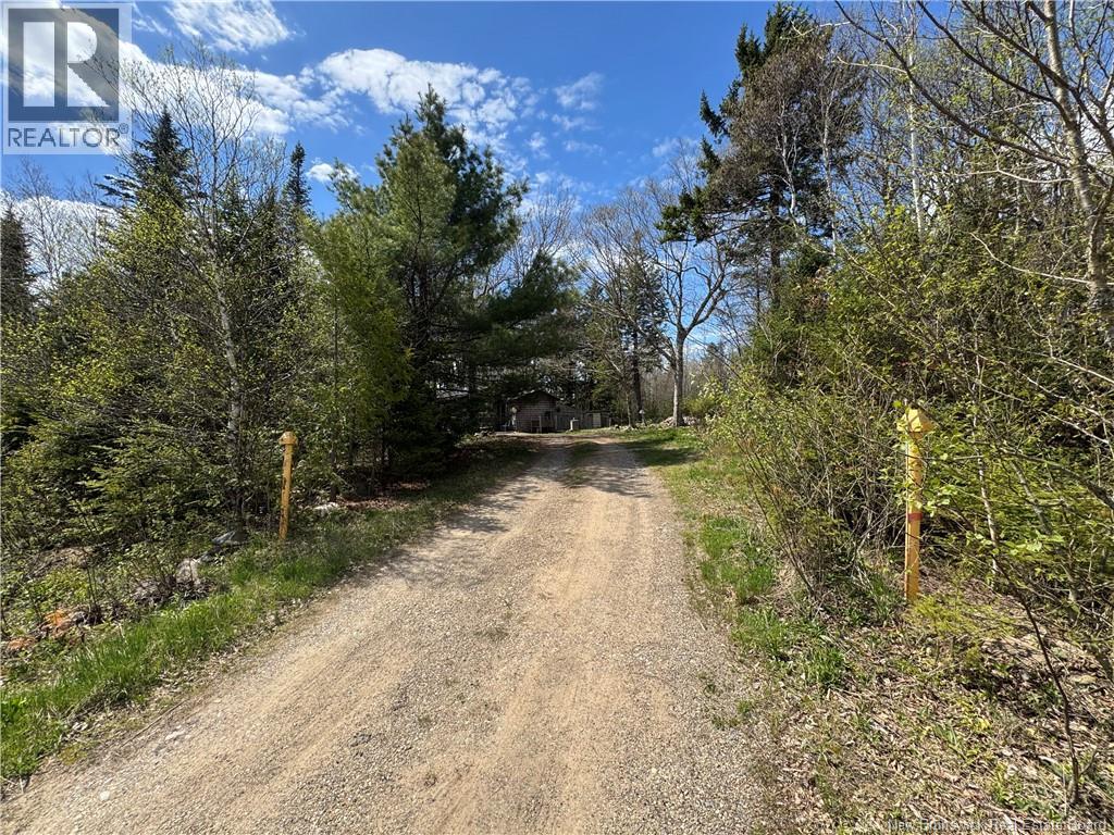 199 East Scotch Settlement Road - 14