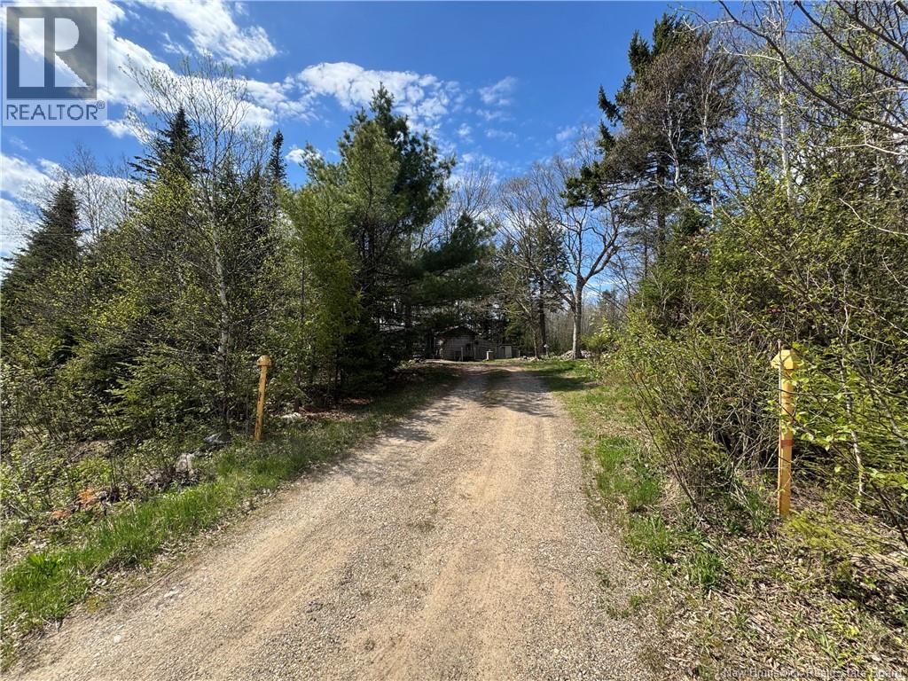 199 East Scotch Settlement Road - 13