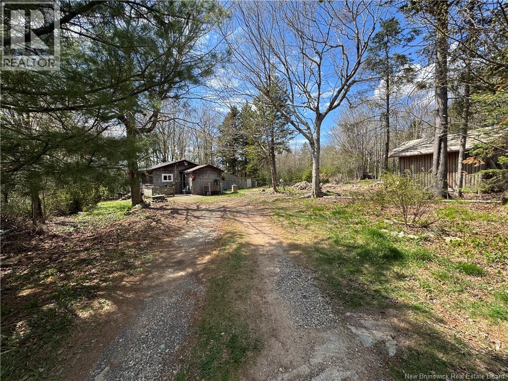 199 East Scotch Settlement Road - 12